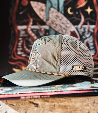 Cicada - SCOUT Series Snapback
