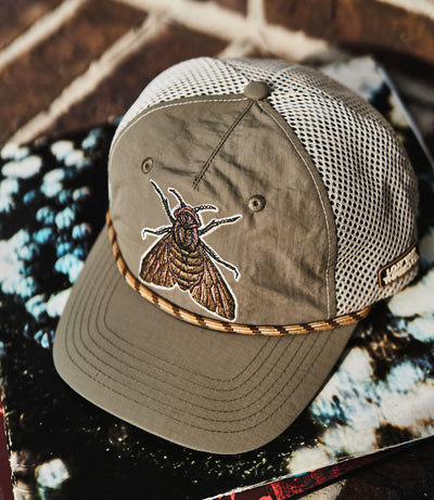 Cicada - SCOUT Series Snapback