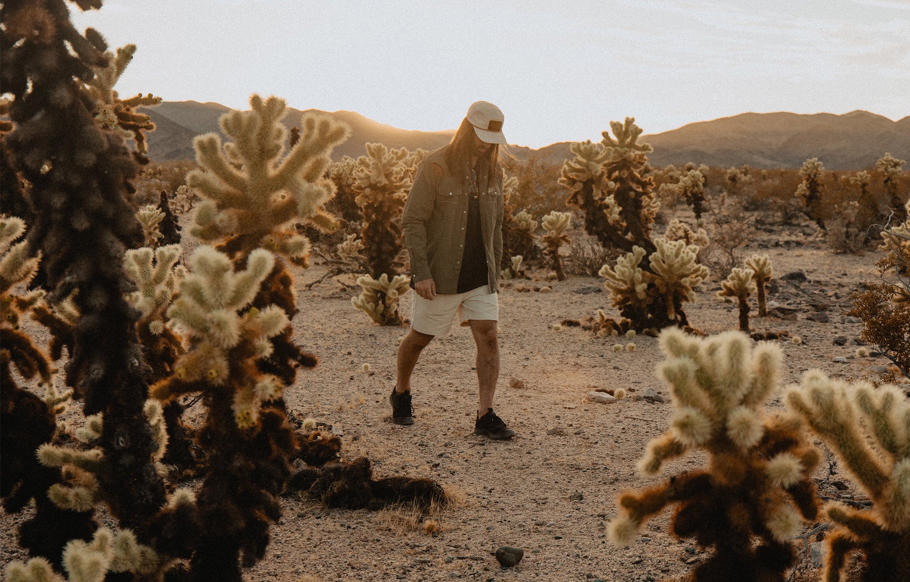 Banshee Collection Collections – Low Tide Thread Co.