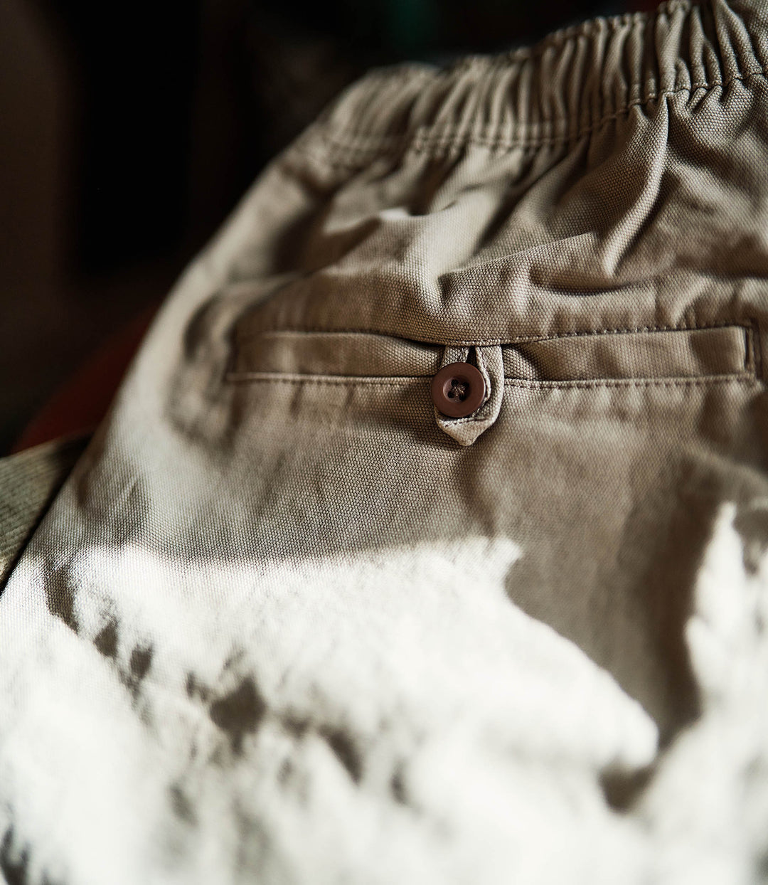 Savannah Tan Canvas Rambler Shorts