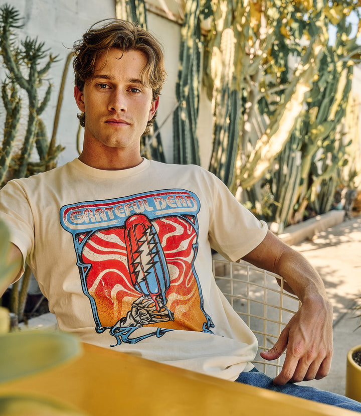 Grateful Dead Dead Pop &