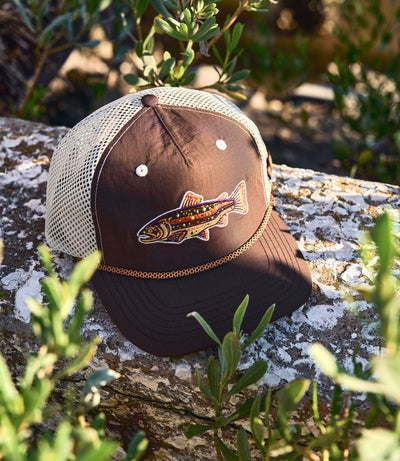 Trailcoast Rainbow Trout Snapback