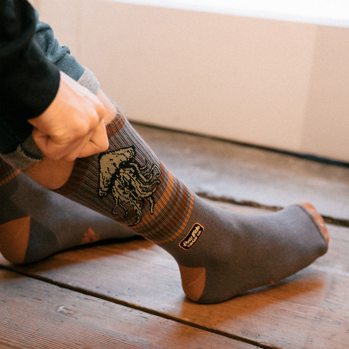 Harbor Socks - 2 Pack